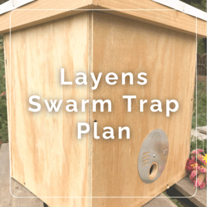 Layens Swarm Trap Plan