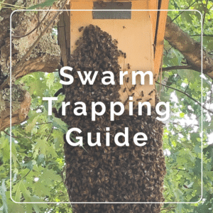 Swarm Trapping Guide